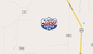 Lucas Cattle Co Map